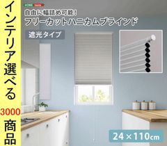 Item thumbnail for item a48b97fe-c1be-4154-b331-6e3f7d28d43d