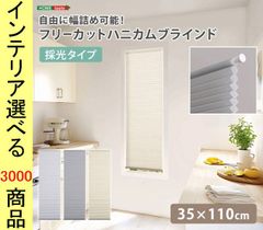 Item thumbnail for item 0e0ea925-72b5-4246-bf48-1444dfcafef6