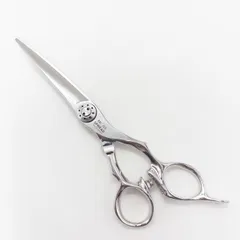 2026年最新】トギノン シャークスプレッドの人気アイテム - メルカリ