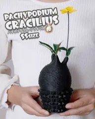 2026年最新】塊根植物 フィギュアの人気アイテム - メルカリ