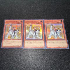 Item thumbnail for item f1f398cc-ca79-4a84-a4a8-36448f0e7f08