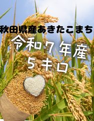 令和7年新米】兵庫県淡路島産キヌヒカリ5キロ(低農薬白米)農家直送