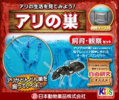 Item thumbnail for item ac11f950-6eb5-43da-950f-aad4248c5469