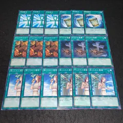 遊戯王 No.4508 禁じられた聖槍 禁じられた聖杯 おろかな埋葬 トレードイン 簡易融合 死者蘇生 各3枚 計18枚 1103環境 汎用