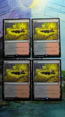 2026年最新】硫黄泉 mtgの人気アイテム - メルカリ