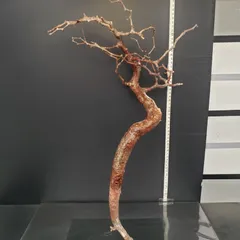 2025年最新】コミフォラ モンストローサの人気アイテム - メルカリ