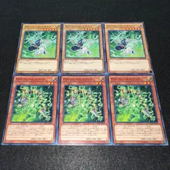 【遊戯王】No.2848 PSYフレームドライバー PSYフレームギアδ 各3枚　計6枚