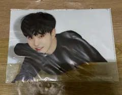 SEVENTEEN ホシ ワールドツアー ジャパン ファイル