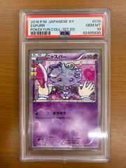 超貴重】ポケモンカードゲーム スターターセット 2人用 英語版 EN版 2