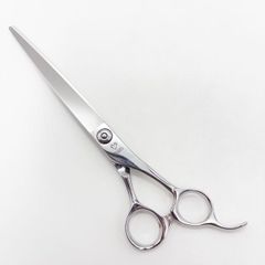 Item thumbnail for item 6cd8e74d-19b6-4214-aa97-a2138956116d