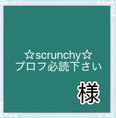 ☆scrunchy☆プロフ必読下さい様専用