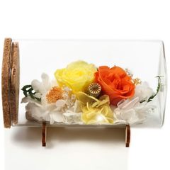 Item thumbnail for item 9ba0207f-67f4-4593-91ca-1b5b9e79faef