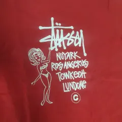 STUSSY x チャンピオン Tシャツ m