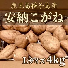 ラスト1箱【種子島産・安納こがね】甘くてねっとり！スイーツのような焼き芋に♪  Lサイズ