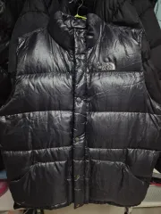 THE NORTH FACE ザノースフェイス グース ダウンベスト(XL)