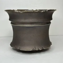 2025年最新】パキプス 鉢の人気アイテム - メルカリ