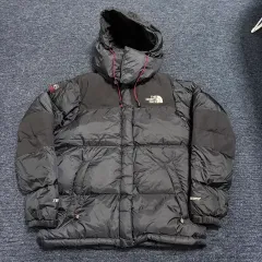 THE NORTH FACE ザノースフェイス 700 サミット ウィンドストッパー グースダウン ダウン