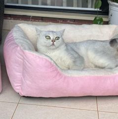 Item thumbnail for item e40e6818-a1f4-4ffe-a1c2-18f54ad5f2dc