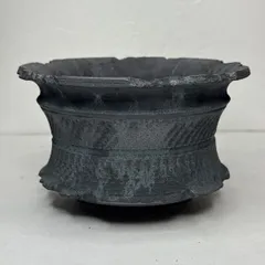 2025年最新】パキプス 鉢の人気アイテム - メルカリ