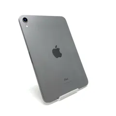 Apple iPad mini 8.3インチ 第6世代 256GB スペースグレイ Wi-Fi 超美品 動作確認済【全額返金保証】【最速発送】