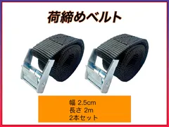 荷締めベルト 黒 幅2.5cm×2m 2本セット カムバックル式 固定ベルト タイダウンベルト 荷締機 多用途 梱包 固定バンド 荷造り トラック キャリーケースベルト アウトドア キャンプ 荷台 自転車 地震対策 台車 運搬 引越 作業工具 地震対策