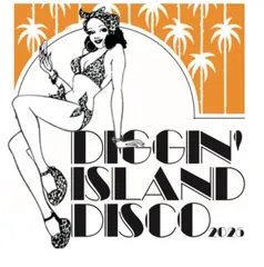 2026年最新】diggin island breaksの人気アイテム - メルカリ