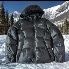 THE NORTH FACE ザノースフェイス 700 軽量ダウン
