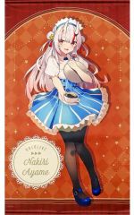ホロライブ　B2タペストリー　百鬼あやめ　torino先生　hololive 百鬼あやめ B2タペストリー ホロライブ torino先生 hololive - メルカリ