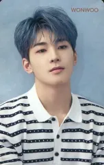 【中古】コレクションカード(男性) SEVENTEEN/WONWOO(ウォヌ)/背景青/CD「JAPAN 2ND SINGLE『舞い落ちる花びら(Fallin’ Flower)』」Loppi・HMV特典オリジナルスペシャルフォトカード