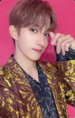 【中古】コレクションカード(男性) SEVENTEEN/DK(ドギョム)/CD「JAPAN 3RD SINGLE『ひとりじゃない』(通常盤)」封入特典フォトカードE