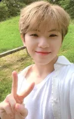 【中古】コレクションカード(男性) SEVENTEEN/WOOZI(ウジ)/裏面黄/SEVENTEEN PHOTOBOOK 「SOCIAL CLUB ： CARAT」(Da Capo ver.)封入特典フォトカード