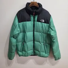 THE NORTH FACE サミット800 グースダウン ダウン 95