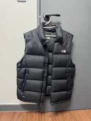 THE NORTH FACE ザノースフェイス 700 ダウンベスト L