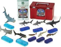 【中古】フィギュア SHARKS DX シャーク デラックスバージョンボックス サメ(9体セット) 「立体図鑑 SHARKS OF THE WORLD」のサムネイル