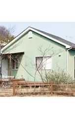 2025年最新】Friends Again シャムキャッツの人気アイテム - メルカリ