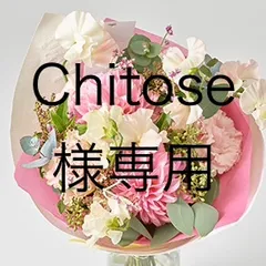 こちらはＣHirose様専用です