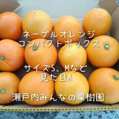 コンパクトボックス、少量で良い方、ケーキお菓子作り等に●国産ネーブルオレンジ  ●1.3kg前後 ●12個前後●外皮　見た目　A ●採りたて新鮮商品 ●サイズ　混合（M、S、2S等の小さめ）