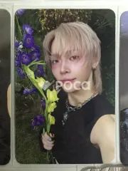 &TEAM ニコラス Back to Life ROAR ver.