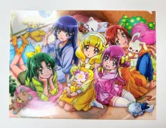 スマイルプリキュア L字ファイル 5種まとめ