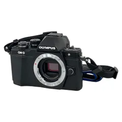 2025年最新】オリンパスom-d e-m10 mark iiの人気アイテム - メルカリ