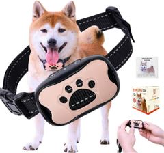 Item thumbnail for item 95aed841-00aa-4b88-b39c-511e9736cf21