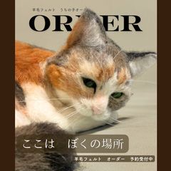 うちの子オーダー猫 羊毛フェルト オーダー希望はコメント欄にて受付中