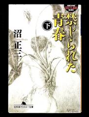 禁じられた青春 下 幻冬舎アウトロー文庫 沼 正三 - メルカリ