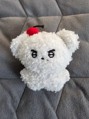 THE BOYZ(ザ・ボーイズ・ドボイズ) ヨンフン(YOUNGHOON) さくらんぼ Tシャツ ぬいぐるみ ぬい 出品