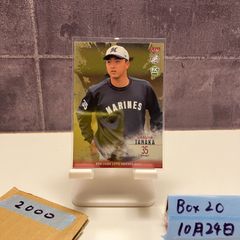 2023 BBM 1st Version 井坪陽生 52/75 阪神タイガース RC ルーキー