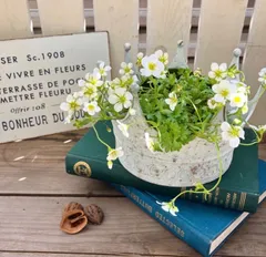 ちゃちゃ様　専用ページ