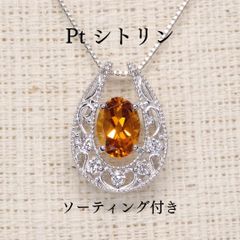 Pt900 プラチナ ロープチェーン ブレスレット CITIZEN - メルカリ