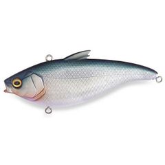 アナリスター エギタコ MH－175 - メルカリ