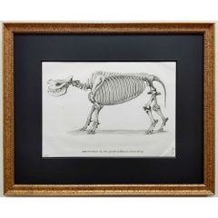 シャガール サーカスの幻 1963年 リトグラフ 版画 ムルロー工房 額付