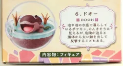 リーメント テラリウムコレクションEX 駆け巡るパルデアの世界へ ポケットモンスター ドオー 6